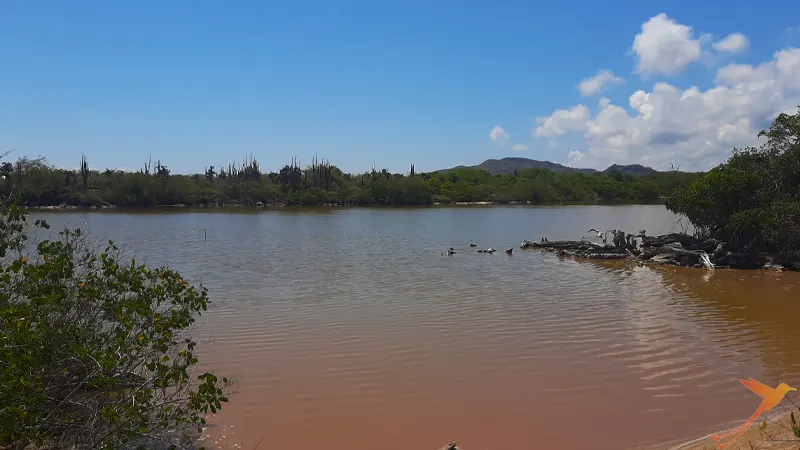 lagoon near the wall of tears on Isabela Island