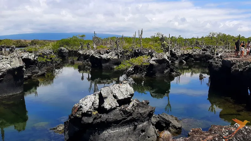Los Tuneles visitor point on Isabela Island