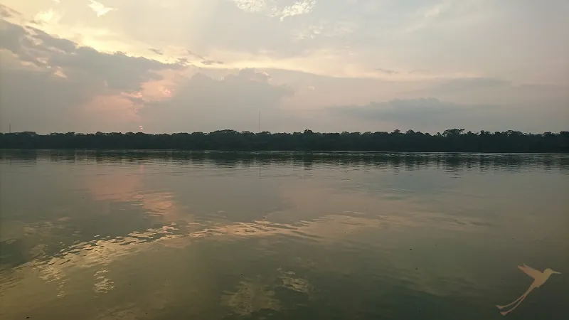 Limoncocha lagoon