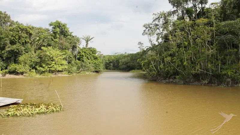Napo river in Yasuni