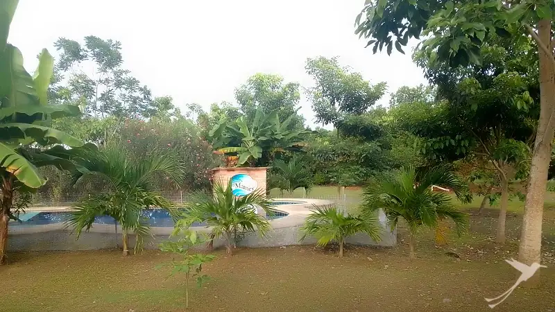 pool of the Quinta El Mamey