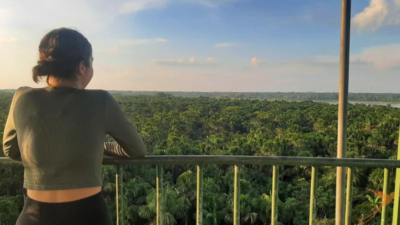 view over the jungle from the observacion tower