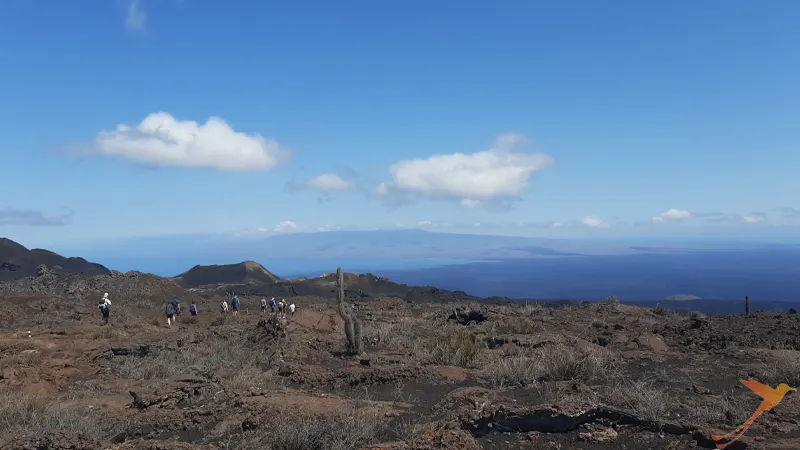 landscape around volcano Sierra NEgra on Isabela Island