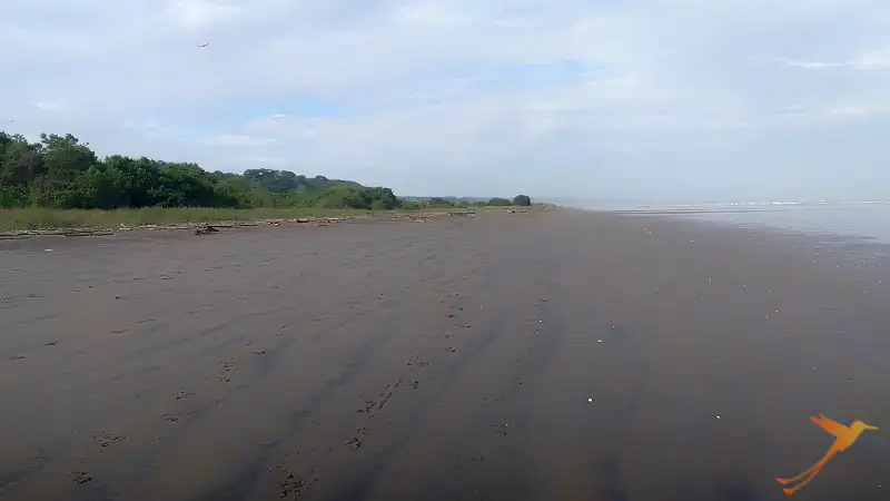beach in the north of Esmeraldas