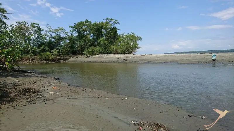river at the bach of Canchimalero