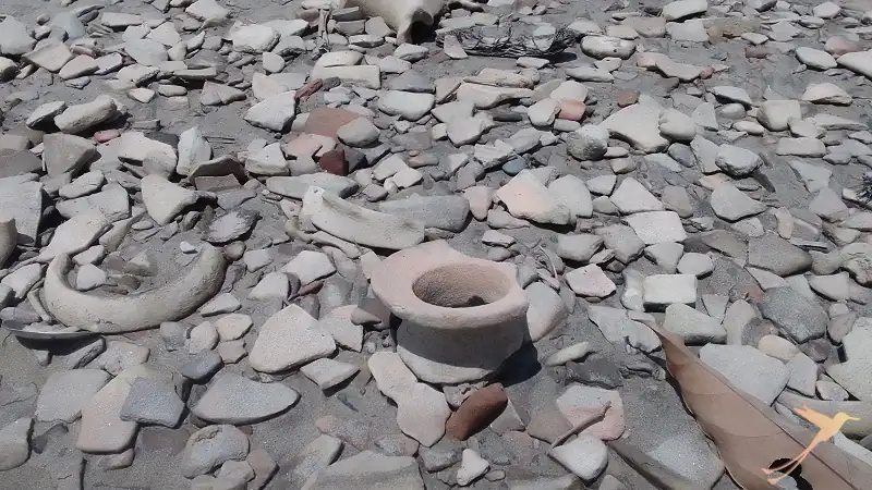 ceramics can be found averywere at Tolita Pampa de Oro