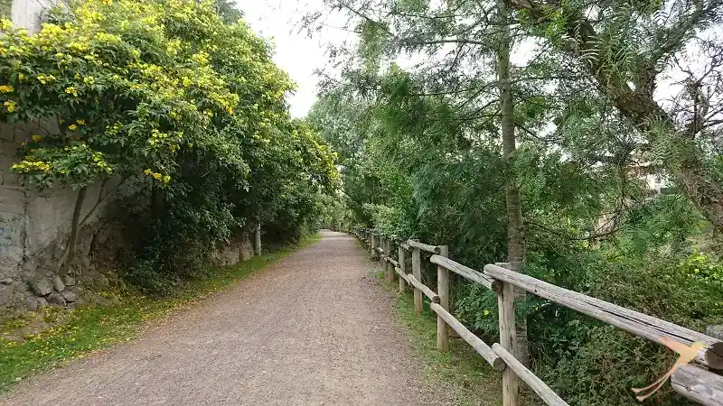 chaquiñan trail near Cumbaya