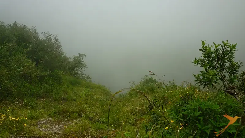 Borde del cráter del cráter de Pululahua con niebla