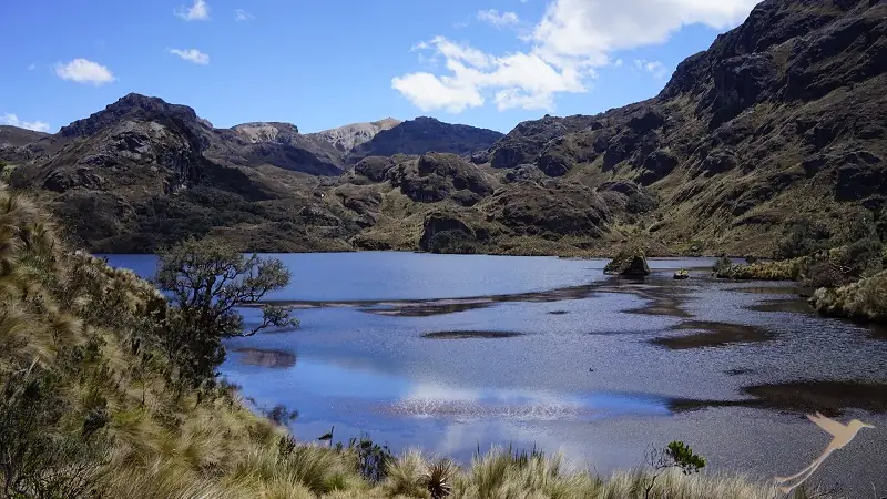 Cajas nationalpark with lakes