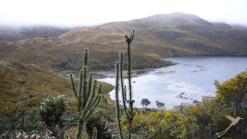 paramo landscape with lakes