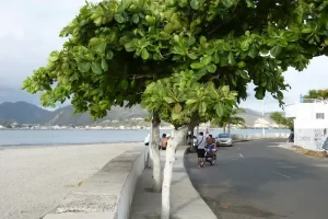 carretera costera de Bahía de Caraquez