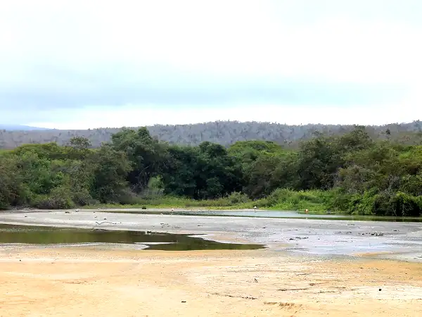 laguna de El Garrapatero en Santa Cruz