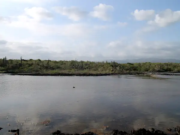 landscape around las Grietas