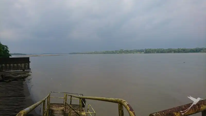 view over the Napo river