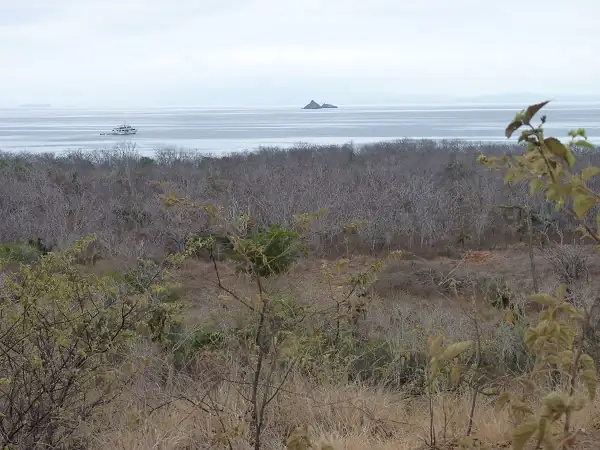 paisaje de bosque seco en Santa Cruz, cerca de Dragon Hill