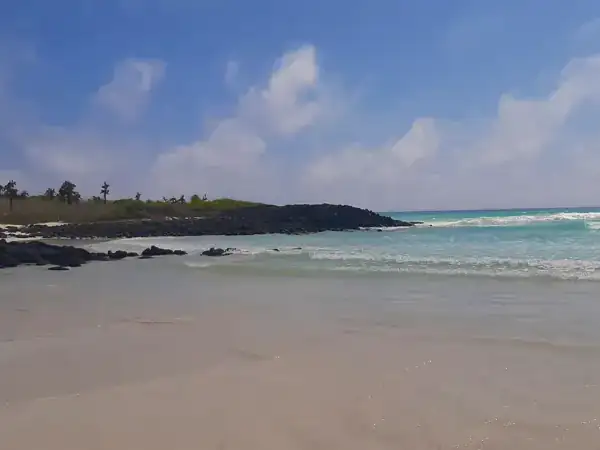 beach of Tortuga bay on Santa Cruz island