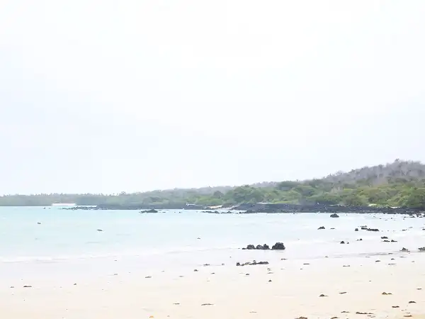 playa y paficif Océano en El Garrapatero