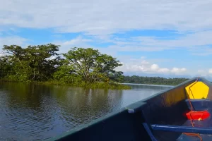 canoe ride on the lagoon in the Cuyabeno reserve
