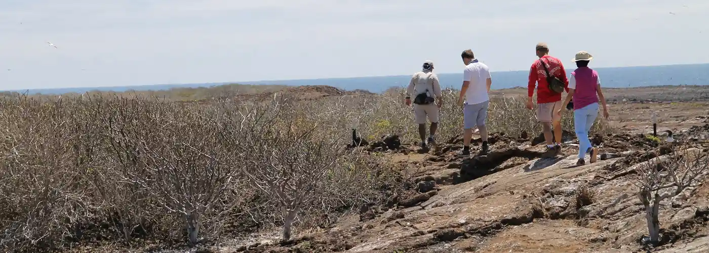 hiking at Darwin Bay on Genovesa Island