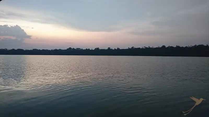 sunset at the Limoncocha lagoon in the rainforest region
