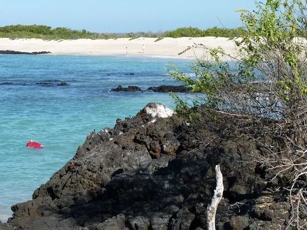 view to Bachas beach and rocks