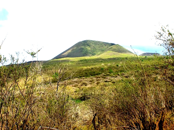 view point of Asylum of Peace