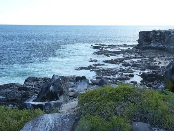 Línea costera de Punta Suárez en la Isla Española