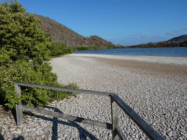 Cormorant Point with lagoon