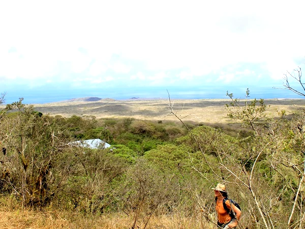 landscape at asylum of Peace