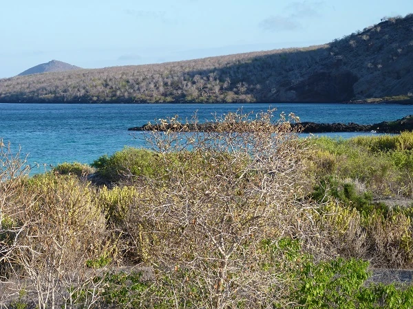 landscape and view at Cormorant Point