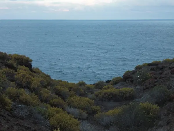 Bay of Pittpoint at San Cristobal
