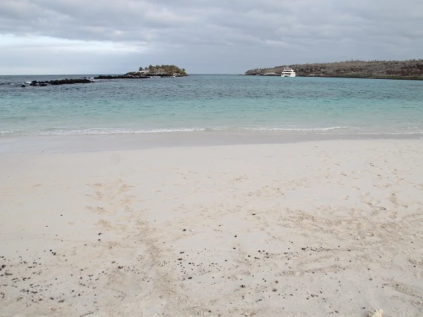 white sand beach of Santa fe Island