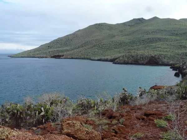 bay at the coast of Rabida Island