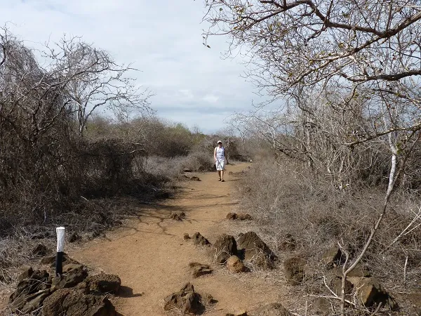 hiking at Post Office Bay