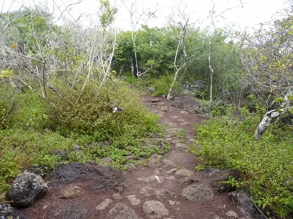 hiking path in the reserve Galapaguera
