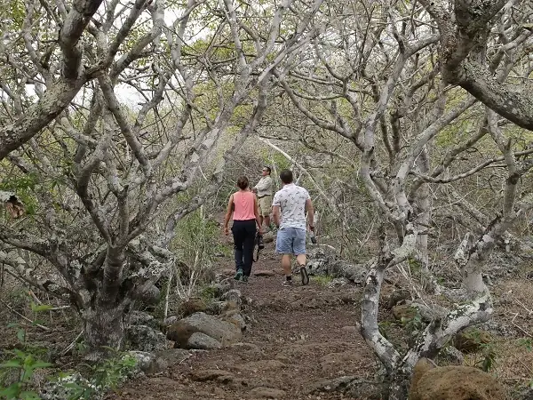path inside the Galapaguera de Cerro Colorado on San Cristobal Island