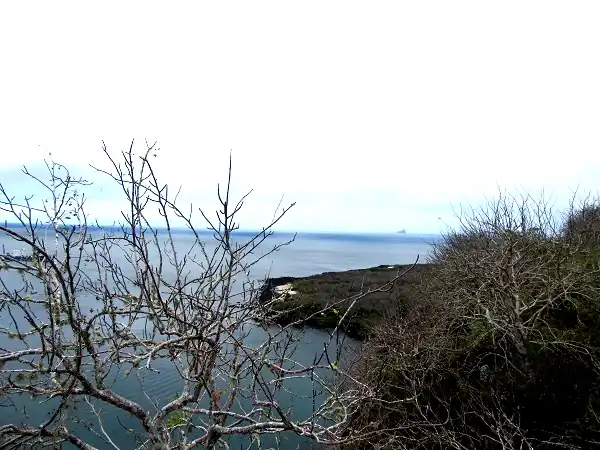 view point from tijeretas Hill