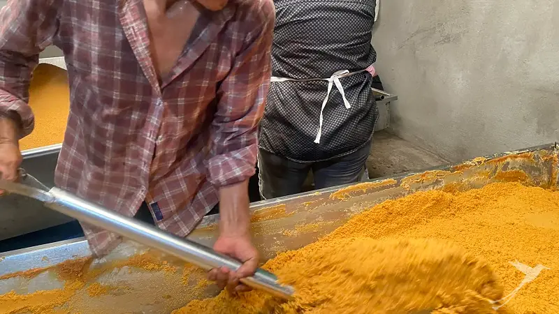 a worker is mixing panela