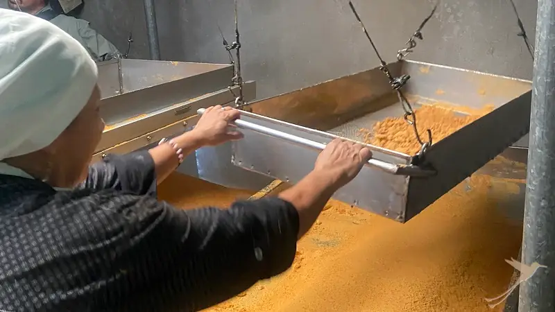 panela is sifted with big mechanic sieves