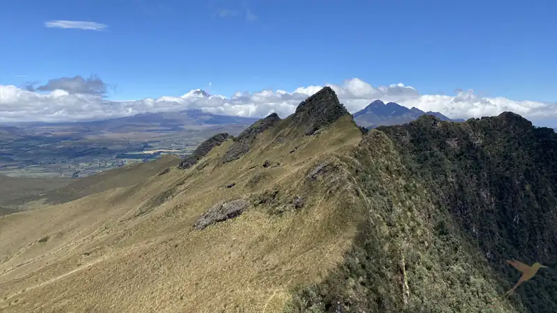 cumbre del volcán Pasochoa
