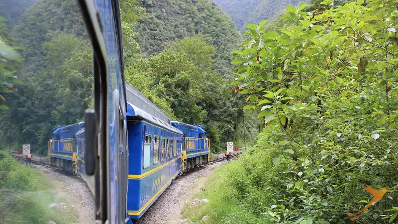 tren a Machu Picchu