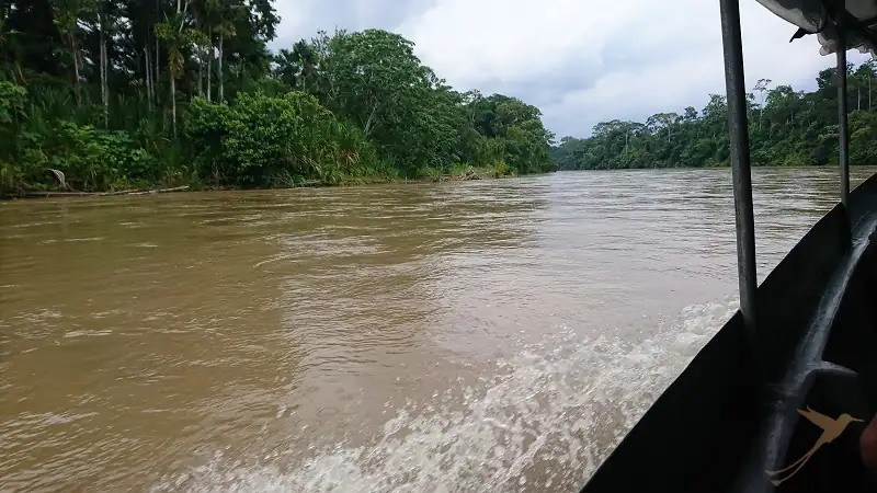 paseo en canoa por el río napo