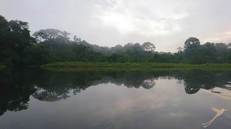 niebla matutina sobre la laguna