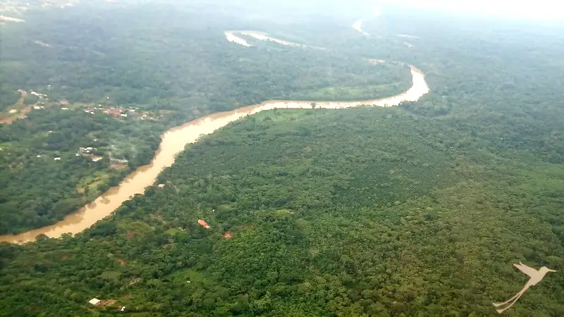 selva amazonica cerca de Coca desde arriba