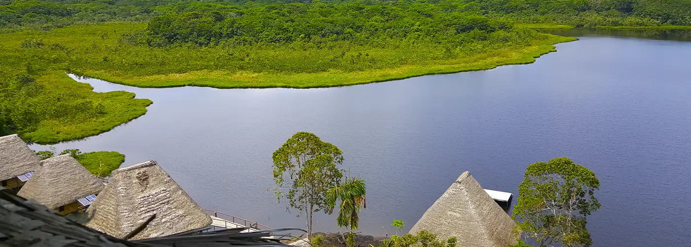 Luxury Amazon lodge with thatched bungalows on pristine lagoon in Ecuador rainforest