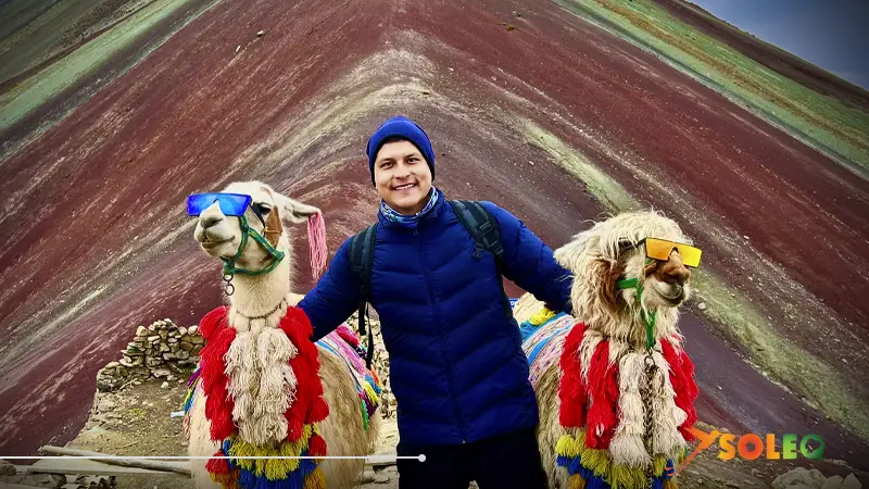 Visita personal a la Montaña Arcoíris del Perú (Vinicunca): viajero con llamas frente al famoso paisaje de la montaña de siete colores en los Andes peruanos.