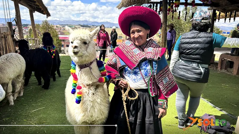 Mujer indígena con alpaca decorada en Chinchero, Valle Sagrado, Perú.