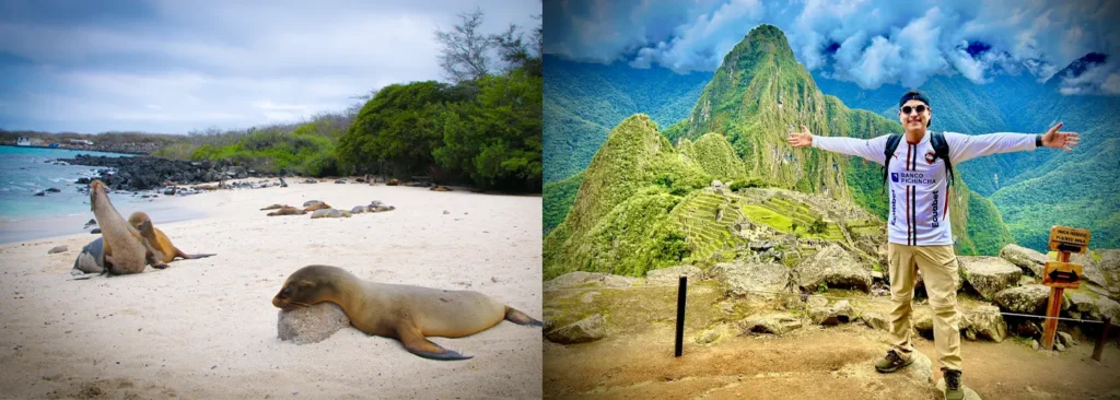 Comparison of travel destinations in South America: On the left, sea lions on a pristine beach in the Galápagos Islands (Ecuador); on the right, a traveler with arms outstretched against the backdrop of Machu Picchu (Peru).