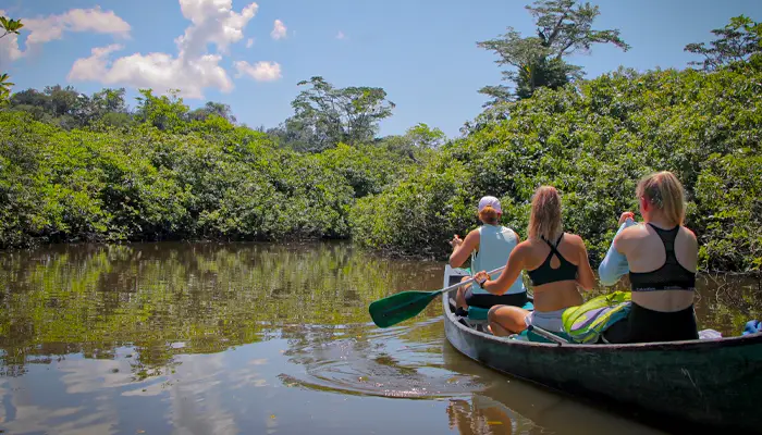 Travelers paddling a canoe through a calm river surrounded by dense Amazon rainforest vegetation.