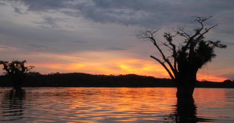 What to Pack for the Ecuadorian Amazon — Soleq Travel